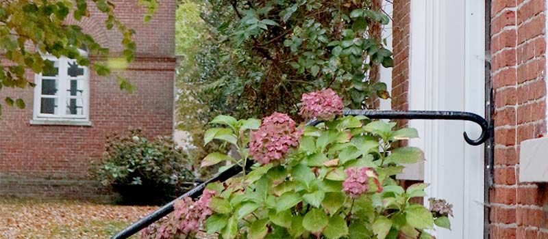 Eingangsbereich mit viel Vegetation eines Wohnhauses